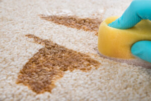 Carpet Cleaning Service