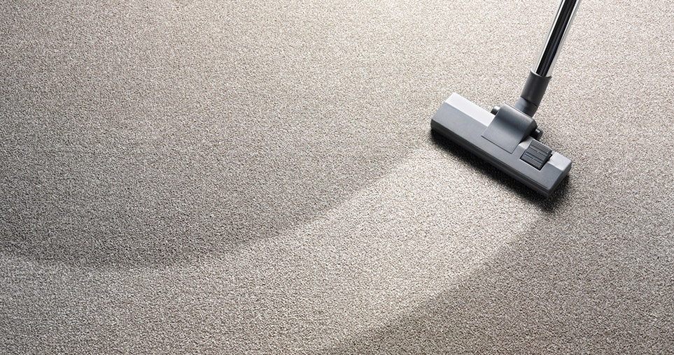 Carpet and Rug Cleaning